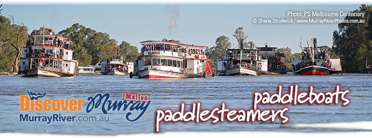 Discover Murray River Paddlesteamers and Paddleboats